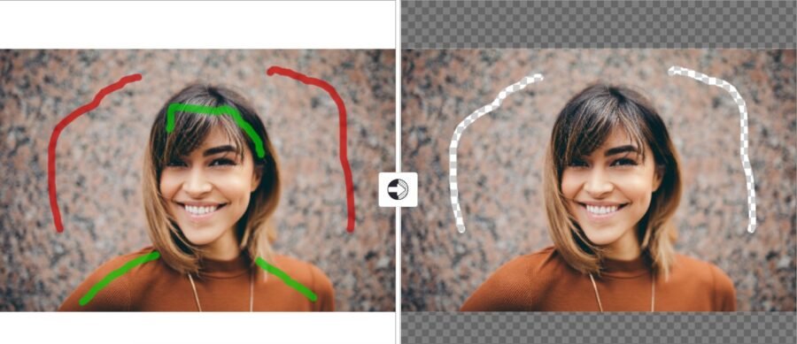 5 Easy Ways to Remove The Image Background for Free