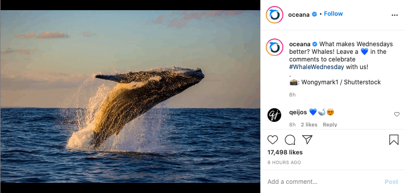 How to Increase Instagram Engagement: 10 Tactics Guaranteed to Get Your Audience Involved